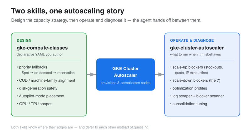 Two skills — gke-compute-classes for design, gke-cluster-autoscaler for operate and diagnose, with the cluster autoscaler in the middle